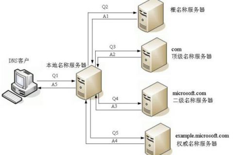 DNS是什么